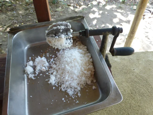 Manual rotary coconut scraper with a crank handle beside a metal tray holding grated coconut