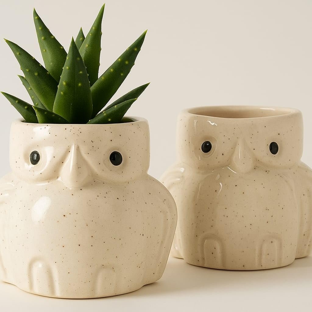 Chumbak Ceramic Planter